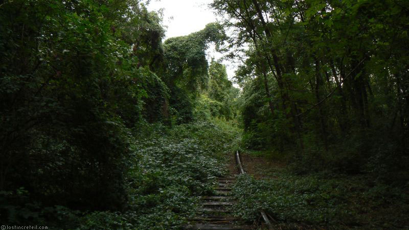 Abandoned railways - Berlin